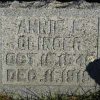 Annie Eliza John