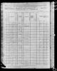 Recenseamento dos EUA de 1880 - Família Henry (Blount Co, TN)